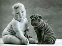 Нажмите на изображение для увеличения.

Название:	Funny-Shar-Pei-Dog_8.jpg
Просмотров:	256
Размер:	45.9 Кб
ID:	3500570