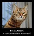 Нажмите на изображение для увеличения.

Название:	images (1).jpg
Просмотров:	288
Размер:	8.3 Кб
ID:	3500973