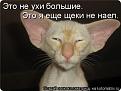 Нажмите на изображение для увеличения.

Название:	мр1.jpg
Просмотров:	332
Размер:	32.0 Кб
ID:	3501182