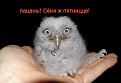 Нажмите на изображение для увеличения.

Название:	76546847_67601905_1.jpg
Просмотров:	311
Размер:	34.7 Кб
ID:	3501297