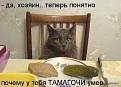 Нажмите на изображение для увеличения.

Название:	77.jpg
Просмотров:	379
Размер:	42.1 Кб
ID:	3501382