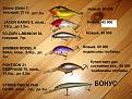 Нажмите на изображение для увеличения.

Название:	Вобы.jpg
Просмотров:	906
Размер:	139.8 Кб
ID:	3501514