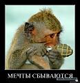 Нажмите на изображение для увеличения.

Название:	post-11-12839510385246.jpg
Просмотров:	289
Размер:	55.8 Кб
ID:	3501535