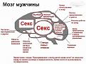 Нажмите на изображение для увеличения.

Название:	mozg-m.jpg
Просмотров:	266
Размер:	88.6 Кб
ID:	3501566