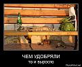 Нажмите на изображение для увеличения.

Название:	1316852218_demotivatory-onlayn-1.jpg
Просмотров:	311
Размер:	83.7 Кб
ID:	3501626