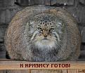 Нажмите на изображение для увеличения.

Название:	K-krizisu-GOTOV-!!!-1.jpg
Просмотров:	263
Размер:	72.9 Кб
ID:	3502114