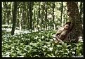 Нажмите на изображение для увеличения.

Название:	1310917171_woman_and_nature_03.jpg
Просмотров:	285
Размер:	74.1 Кб
ID:	3502120
