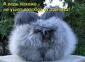 Нажмите на изображение для увеличения.

Название:	1308777796_1295104448_1294994788_kotomatrix_20.jpg
Просмотров:	328
Размер:	78.9 Кб
ID:	3502253