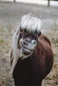 Нажмите на изображение для увеличения.

Название:	these_funny_animals_640_13.jpg
Просмотров:	262
Размер:	28.1 Кб
ID:	3502592
