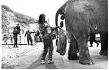 Нажмите на изображение для увеличения.

Название:	elephant.jpg
Просмотров:	303
Размер:	20.2 Кб
ID:	3502683