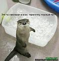 Нажмите на изображение для увеличения.

Название:	thumbs_49cf7298b82f5.jpg
Просмотров:	281
Размер:	50.5 Кб
ID:	3502831