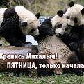 Нажмите на изображение для увеличения.

Название:	михалыч.jpg
Просмотров:	278
Размер:	44.6 Кб
ID:	3502853