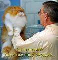Нажмите на изображение для увеличения.

Название:	2.jpg
Просмотров:	281
Размер:	75.3 Кб
ID:	3507402