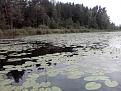 Нажмите на изображение для увеличения.

Название:	P160812_1343[01].jpg
Просмотров:	637
Размер:	194.6 Кб
ID:	3508164