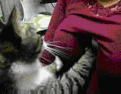 Нажмите на изображение для увеличения.

Название:	0_40370_ce8f65ee_L.gif
Просмотров:	289
Размер:	194.4 Кб
ID:	3508221
