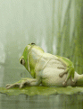 Нажмите на изображение для увеличения.

Название:	0_4cea7_9d92373a_L.gif
Просмотров:	264
Размер:	193.0 Кб
ID:	3508229