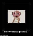 Нажмите на изображение для увеличения.

Название:	0_4e021_e2fa7825_L.jpeg
Просмотров:	267
Размер:	20.1 Кб
ID:	3508230