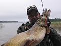 Нажмите на изображение для увеличения.

Название:	labor pike small.jpg
Просмотров:	484
Размер:	74.4 Кб
ID:	3508793