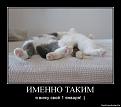 Нажмите на изображение для увеличения.

Название:	1января.jpg
Просмотров:	337
Размер:	57.0 Кб
ID:	3509466