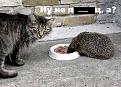 Нажмите на изображение для увеличения.

Название:	3.jpg
Просмотров:	240
Размер:	64.8 Кб
ID:	3509607