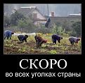 Нажмите на изображение для увеличения.

Название:	demotivatory_19.jpg
Просмотров:	1345
Размер:	51.7 Кб
ID:	3509627