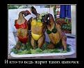 Нажмите на изображение для увеличения.

Название:	demotivatory_24.jpg
Просмотров:	1322
Размер:	61.4 Кб
ID:	3509628