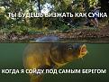 Нажмите на изображение для увеличения.

Название:	xUIlbpkzpQM.jpg
Просмотров:	811
Размер:	87.8 Кб
ID:	3510125