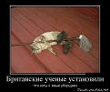 Нажмите на изображение для увеличения.

Название:	dem-0037.jpg
Просмотров:	373
Размер:	117.3 Кб
ID:	3510660