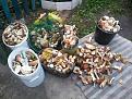 Нажмите на изображение для увеличения.

Название:	20120826_102958.jpg
Просмотров:	964
Размер:	201.7 Кб
ID:	3515127