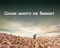 Нажмите на изображение для увеличения.

Название:	1254542578_siski_00013.jpg
Просмотров:	305
Размер:	54.8 Кб
ID:	3515324