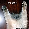 Нажмите на изображение для увеличения.

Название:	%D0%BA%D0%BE%D1%82%D0%BE%D0%BC%D0%B0%D1%82%D1%80%D0%B8%D1%86%D0%B0-auto-6680.jpeg
Просмотров:	291
Размер:	44.8 Кб
ID:	3516124