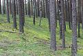 Нажмите на изображение для увеличения.

Название:	IMG_2586-1.jpg
Просмотров:	743
Размер:	214.3 Кб
ID:	3516257