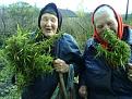 Нажмите на изображение для увеличения.

Название:	10.jpg
Просмотров:	311
Размер:	55.7 Кб
ID:	3516437