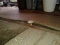 Нажмите на изображение для увеличения.

Название:	20120906_170740.jpg
Просмотров:	943
Размер:	181.4 Кб
ID:	3516819