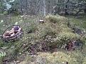 Нажмите на изображение для увеличения.

Название:	Фото0197.jpg
Просмотров:	776
Размер:	216.4 Кб
ID:	3517033
