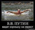 Нажмите на изображение для увеличения.

Название:	78ed2d9e61a0e16ae19fd205a98c49f8.jpeg
Просмотров:	1562
Размер:	102.2 Кб
ID:	3517814