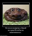 Нажмите на изображение для увеличения.

Название:	Demotivators_26-231956939.jpg
Просмотров:	1470
Размер:	56.3 Кб
ID:	3517993