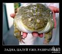 Нажмите на изображение для увеличения.

Название:	цареуна НП.jpg
Просмотров:	378
Размер:	39.4 Кб
ID:	3518921