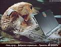 Нажмите на изображение для увеличения.

Название:	m2.jpg
Просмотров:	316
Размер:	38.2 Кб
ID:	3523458