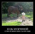 Нажмите на изображение для увеличения.

Название:	M_1_~1.JPG
Просмотров:	261
Размер:	79.5 Кб
ID:	3524577