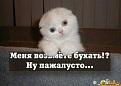Нажмите на изображение для увеличения.

Название:	6.jpeg
Просмотров:	265
Размер:	34.8 Кб
ID:	3524592