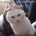 Нажмите на изображение для увеличения.

Название:	70047049_1296532772_1_5.jpg
Просмотров:	267
Размер:	27.2 Кб
ID:	3524596