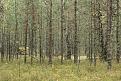Нажмите на изображение для увеличения.

Название:	IMG_4433-1.jpg
Просмотров:	673
Размер:	201.7 Кб
ID:	3524709