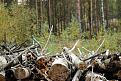 Нажмите на изображение для увеличения.

Название:	IMG_4654-1.jpg
Просмотров:	664
Размер:	173.2 Кб
ID:	3524720