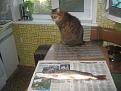 Нажмите на изображение для увеличения.

Название:	IMG_4317.JPG
Просмотров:	598
Размер:	152.8 Кб
ID:	3524909