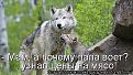 Нажмите на изображение для увеличения.

Название:	2.jpg
Просмотров:	1497
Размер:	38.8 Кб
ID:	3524973