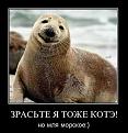 Нажмите на изображение для увеличения.

Название:	13.jpg
Просмотров:	1300
Размер:	45.9 Кб
ID:	3524984