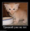 Нажмите на изображение для увеличения.

Название:	15.jpg
Просмотров:	1331
Размер:	34.9 Кб
ID:	3524986