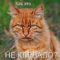 Нажмите на изображение для увеличения.

Название:	клев.jpeg
Просмотров:	1308
Размер:	39.2 Кб
ID:	3525021