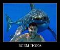 Нажмите на изображение для увеличения.

Название:	ловля рып руками.jpg
Просмотров:	275
Размер:	19.6 Кб
ID:	3525359